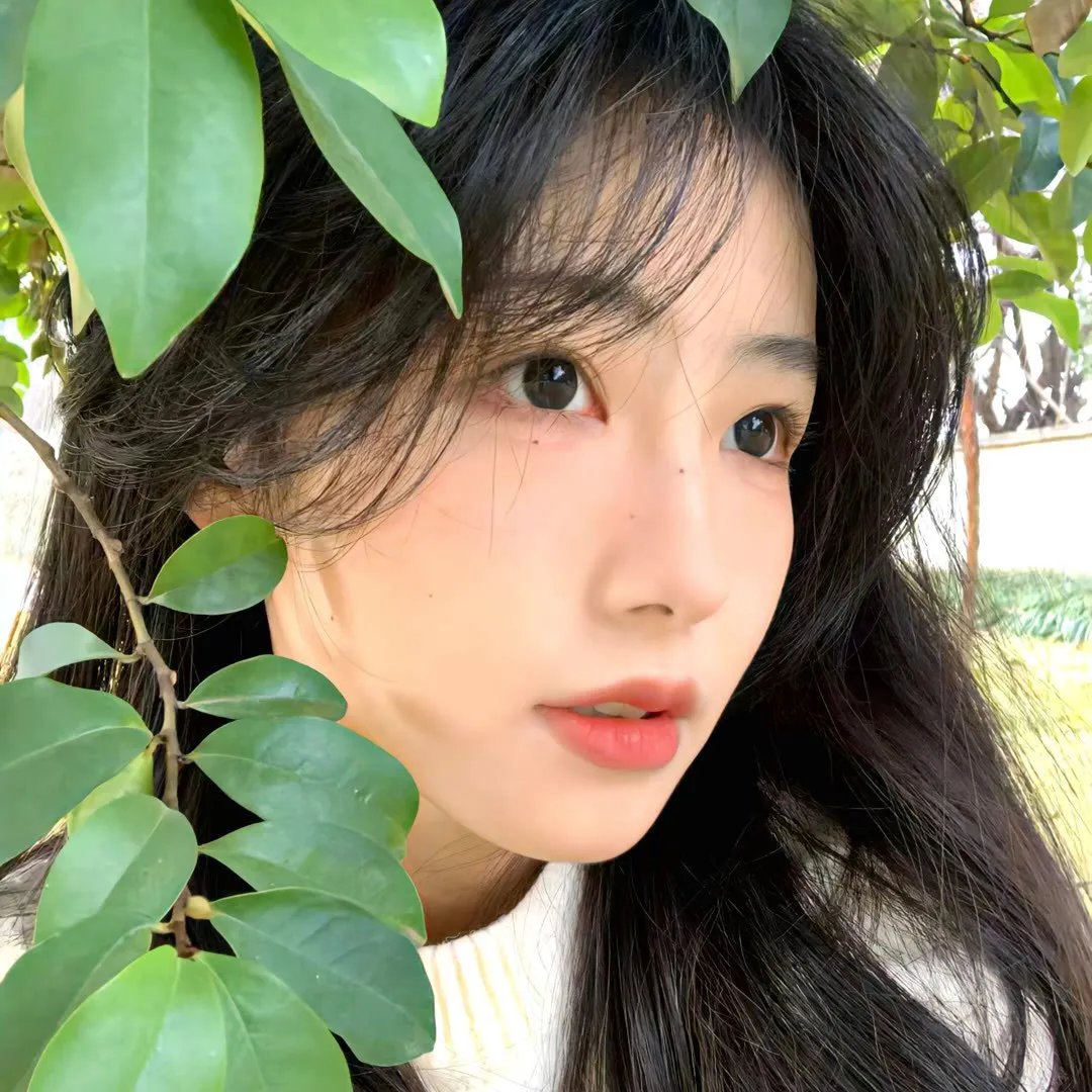 加布里埃拉，丁香和肉桂