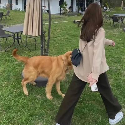 我迷人的反派皇帝